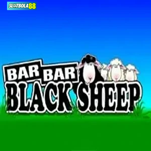 Barbar Black sheep