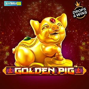 Golden Pig